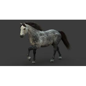 3D model Horse (2) (DappleGrey) (ANIMATED) (FUR)